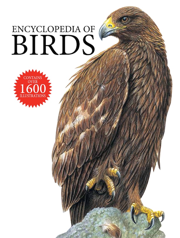 Encyclopedia Of Birds