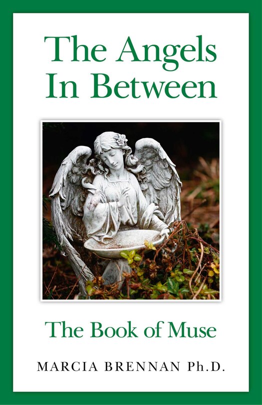 Front cover_The Angels In Between