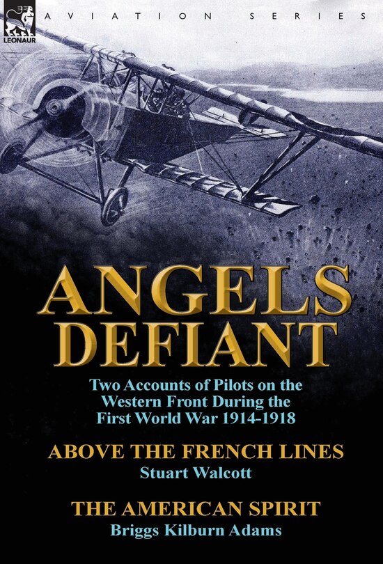 Front cover_Angels Defiant