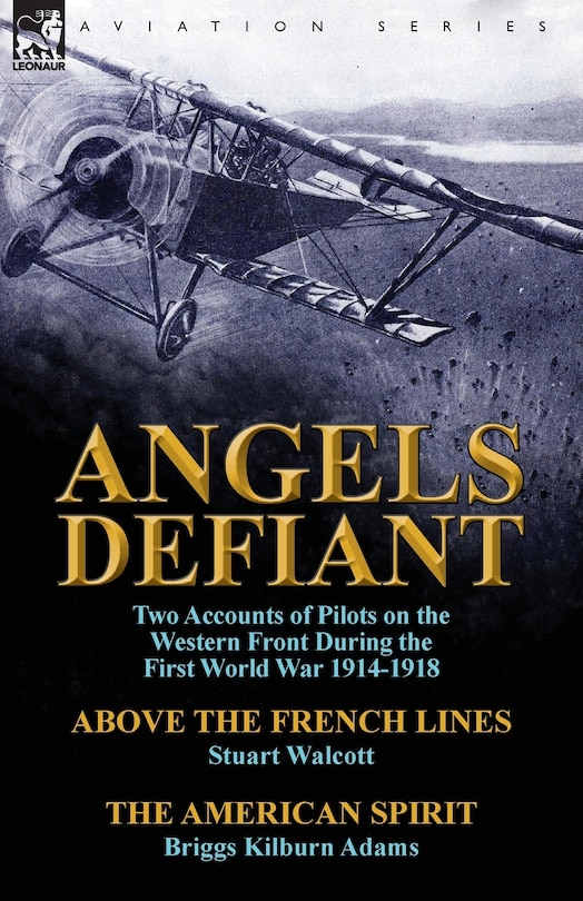 Couverture_Angels Defiant
