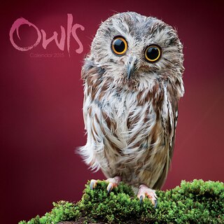 Front cover_Owls 2015 Wall Calendar