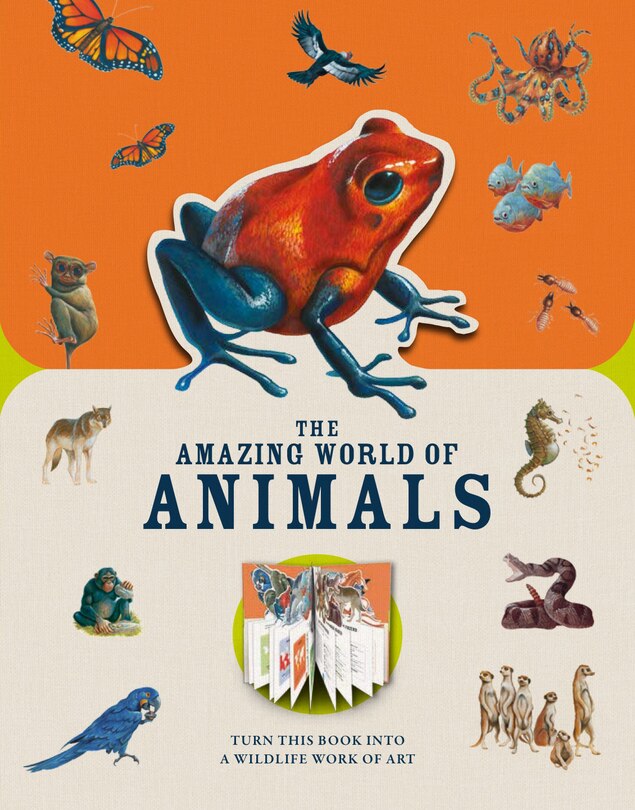 Front cover_Paperscapes: The Amazing World Of Animals