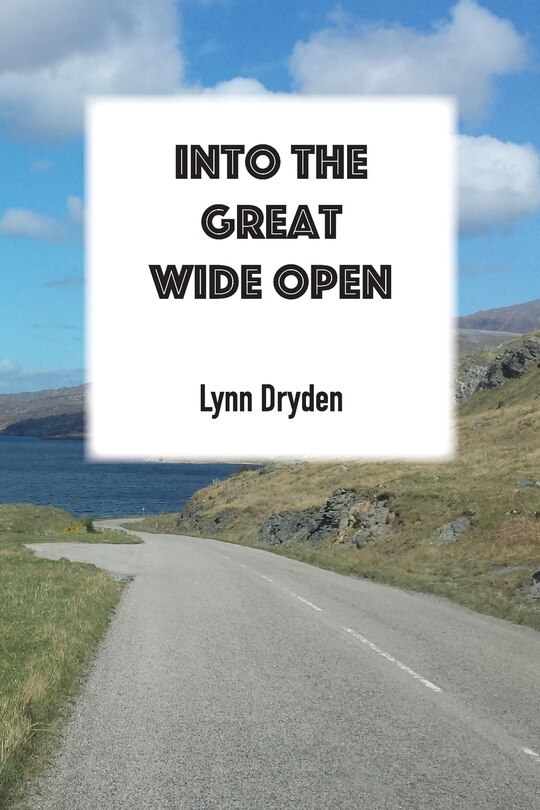Couverture_Into the Great Wide Open