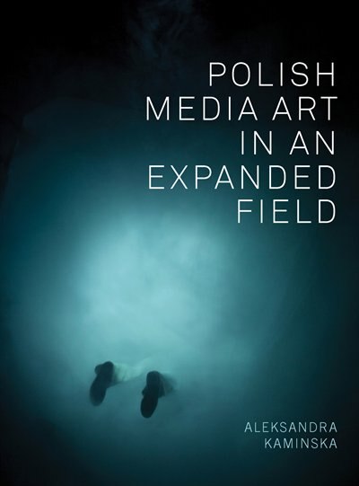Couverture_Polish Media Art In An Expanded Field