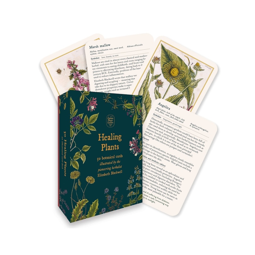 Healing Plants: 50 botanical cards illustrated by the pioneering herbalist Elizabeth Blackwell