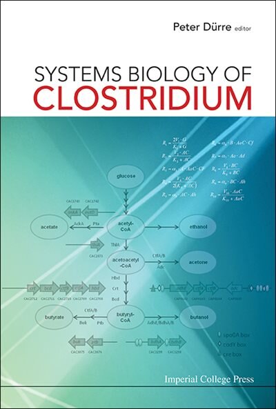 Front cover_Systems Biology Of Clostridium