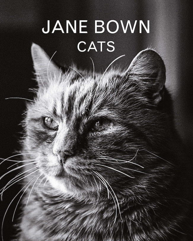 Front cover_Jane Bown: Cats