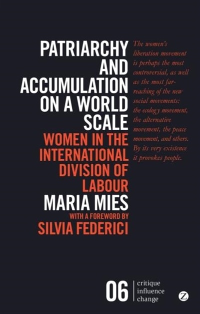 Front cover_Patriarchy and Accumulation on a World Scale