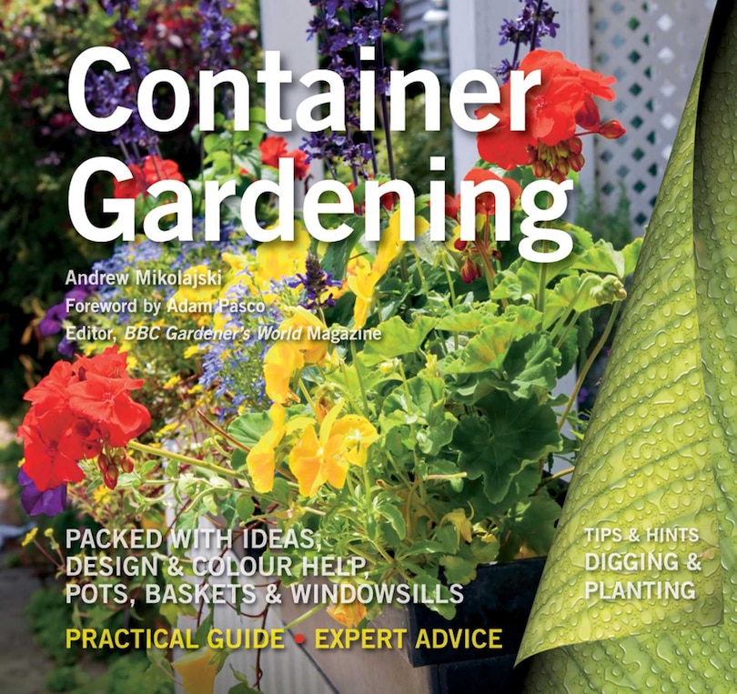 Container Gardening: Ideas, Design & Colour Help