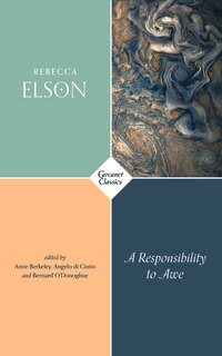 Front cover_A Responsibility to Awe