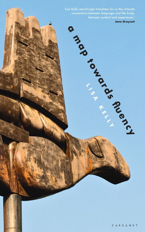 Front cover_A Map Towards Fluency