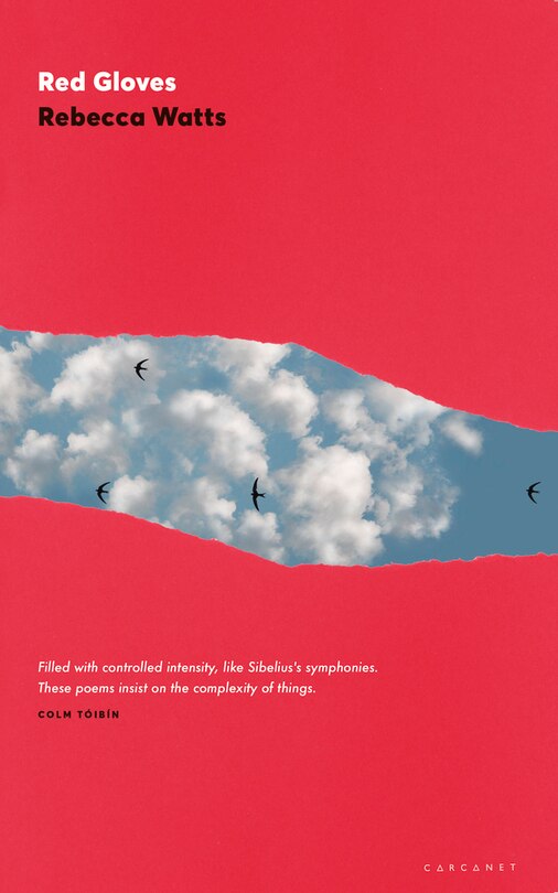 Couverture_Red Gloves