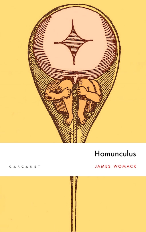 Front cover_Homunculus