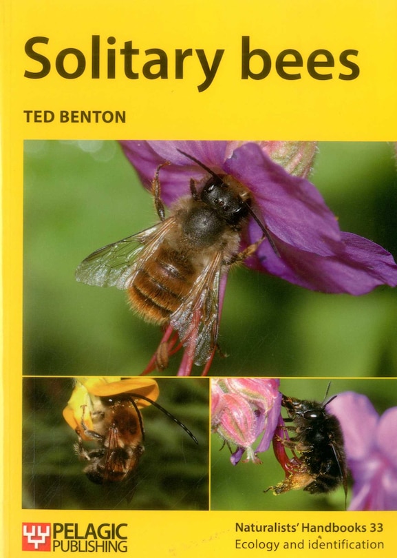 Front cover_Solitary Bees