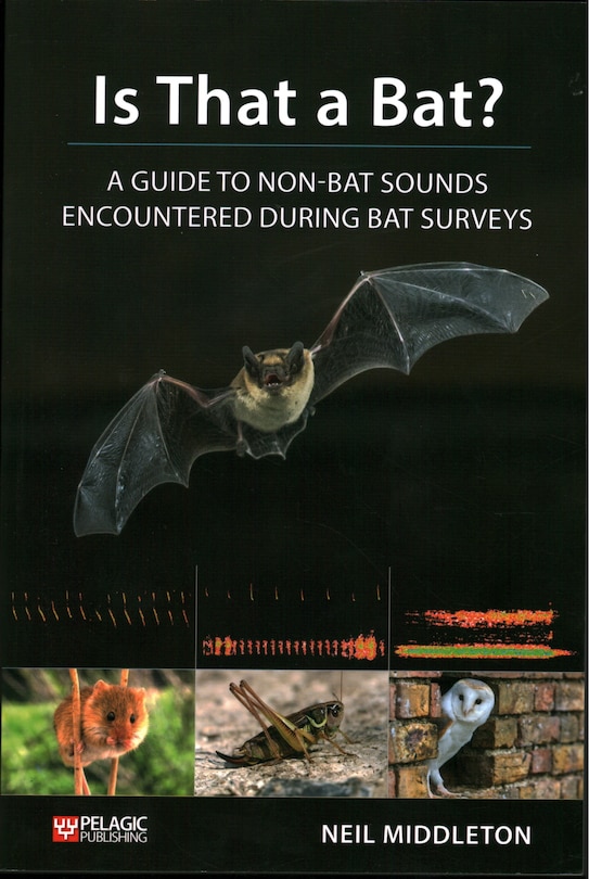 Front cover_Is That A Bat?