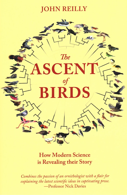 Front cover_The Ascent Of Birds