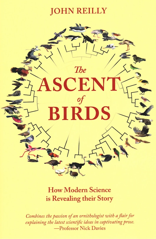 The Ascent Of Birds: How Modern Science Is Revealing Their Story