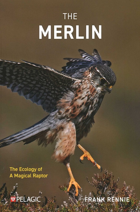 Couverture_The Merlin