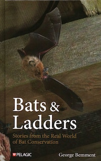 Couverture_Bats & Ladders