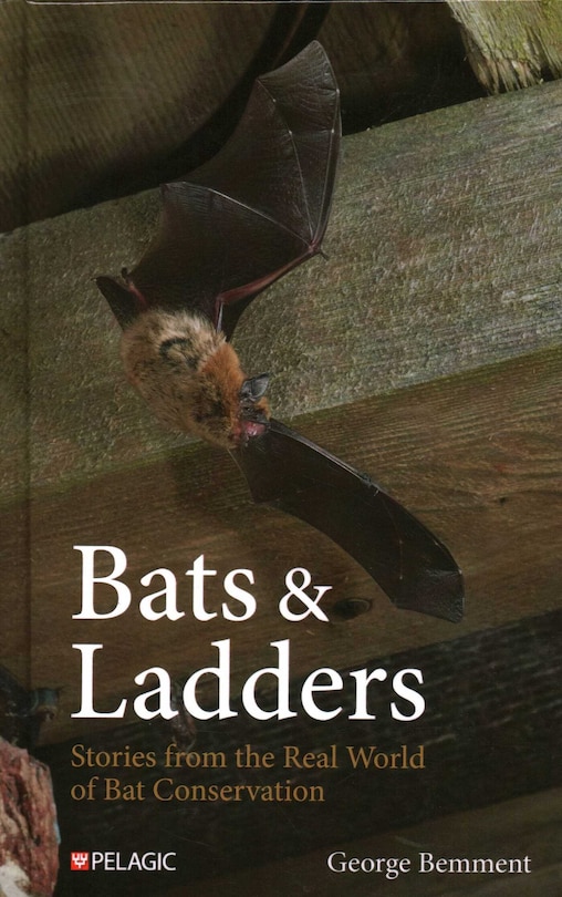 Couverture_Bats & Ladders