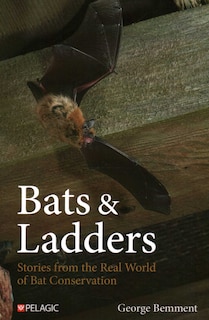 Couverture_Bats & Ladders