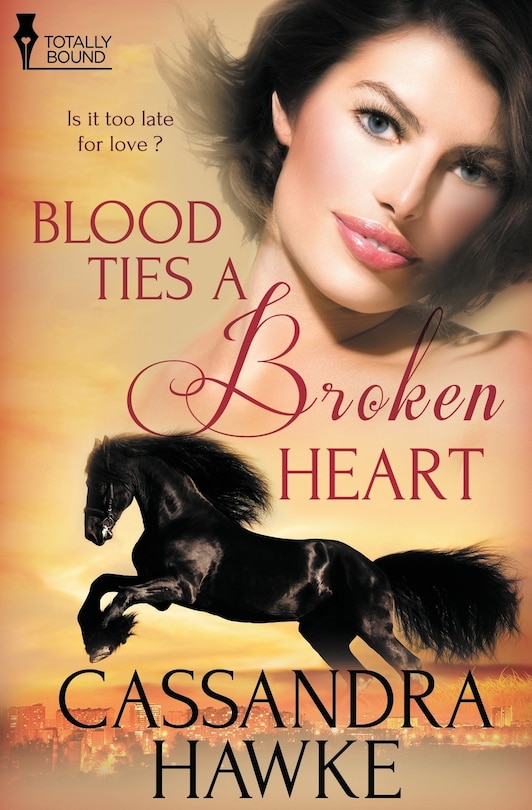 Front cover_Blood Ties a Broken Heart