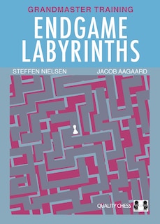 Front cover_Endgame Labyrinths