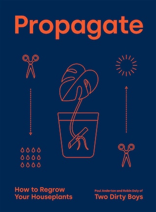 Propagate: How to Regrow your Houseplants