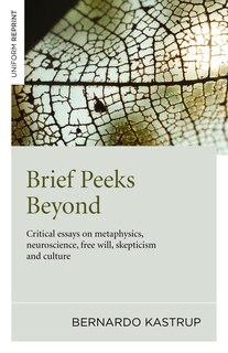 Front cover_Brief Peeks Beyond