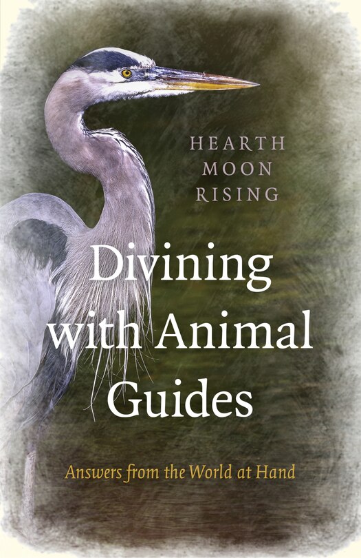 Front cover_Divining With Animal Guides: Answers From The World At Hand