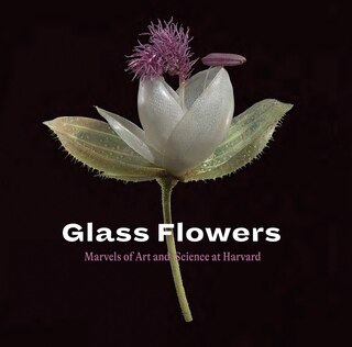 Front cover_Glass Flowers