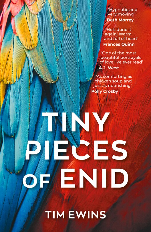 Couverture_Tiny Pieces of Enid