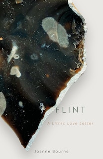 Couverture_Flint