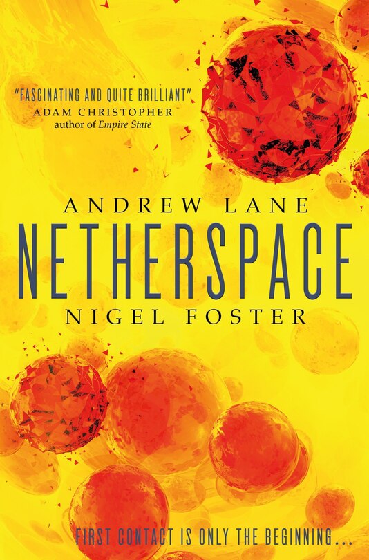 Couverture_Netherspace (netherspace #1)