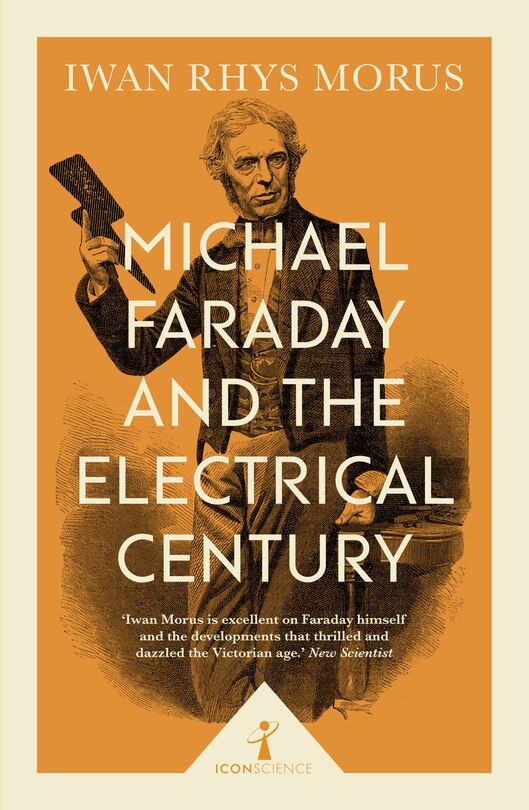 Michael Faraday And The Electrical Century (icon Science)