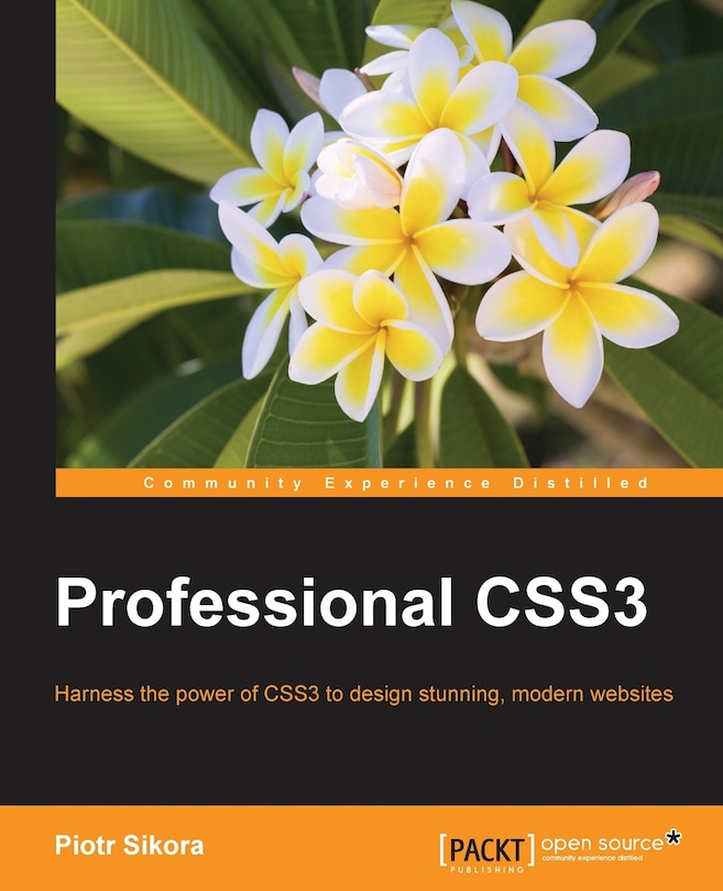 Couverture_Professional CSS3