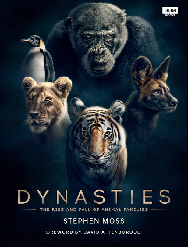 Couverture_Dynasties