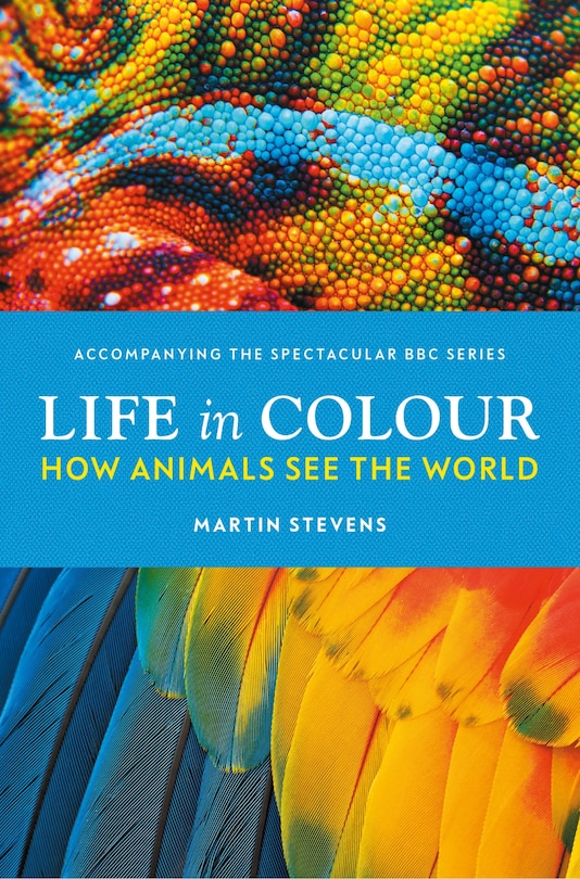 Front cover_Life In Colour