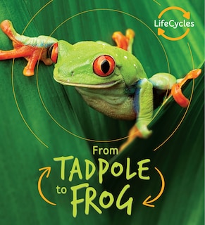 Front cover_From Tadpole to Frog