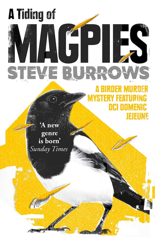 Front cover_A Tiding of Magpies