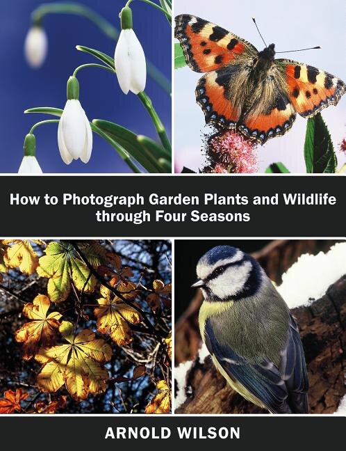 How To Photograph Garden Plants And Wildlife Through Four Seasons