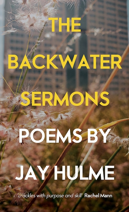 Couverture_The Backwater Sermons