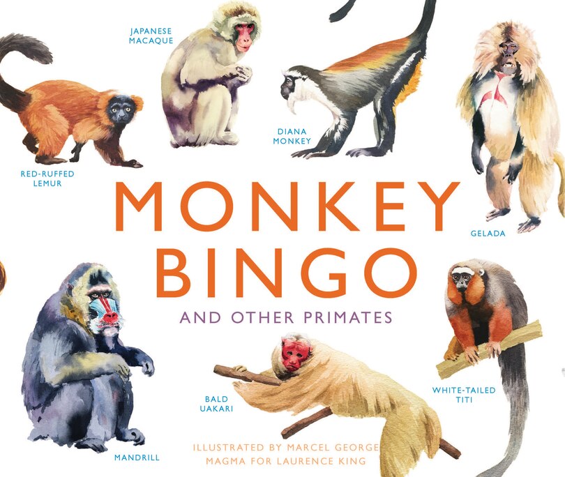 Front cover_Monkey Bingo