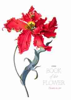 The Book Of The Flower: Flowers In Art by Angus Hyland