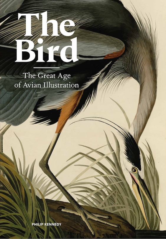 Front cover_The Bird