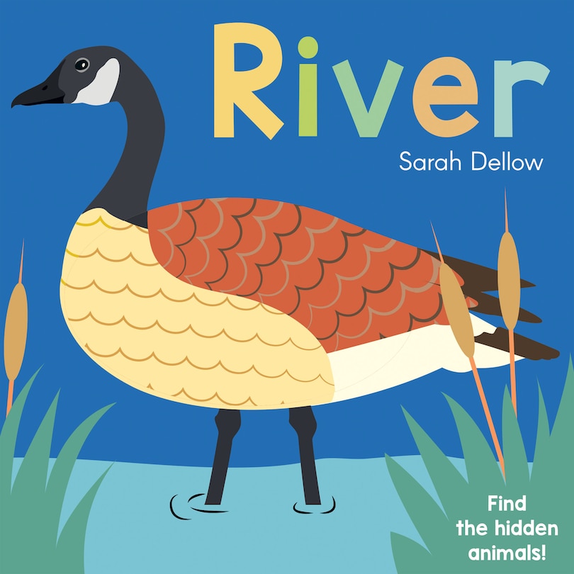 Front cover_Now You See It! River