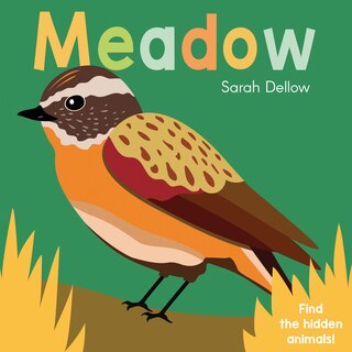 Couverture_Now You See It! Meadow