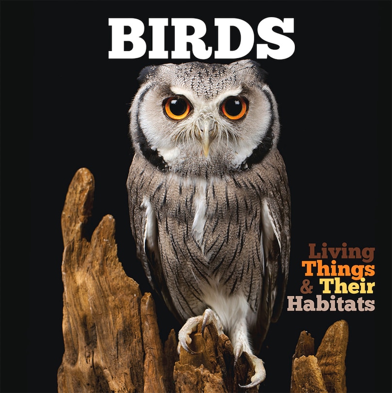 Couverture_Birds