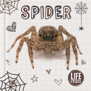 Couverture_Spider