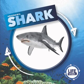 Couverture_Shark